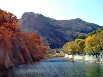 管家婆黑白马报图库，湖南黑山羊价格